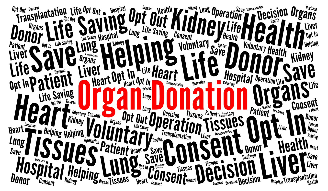 organ donation clip transplants illustrations word graphics