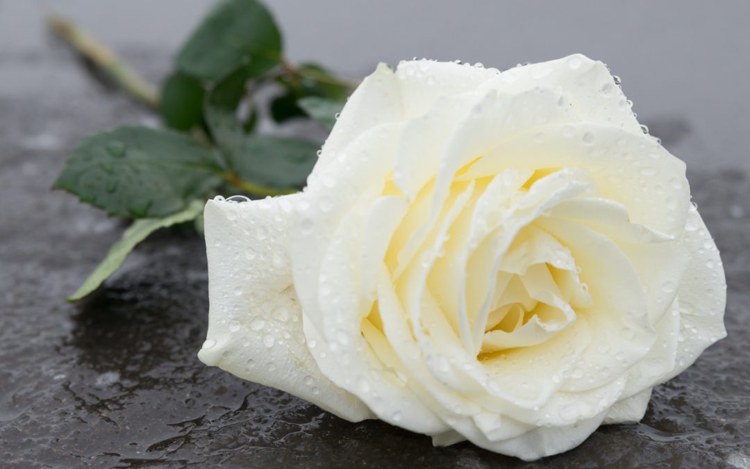 Grief and Healing After Loss